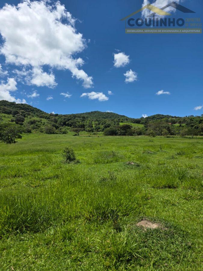 WhatsApp Image 2026-01-21 at 14.14.55 (3).jpeg